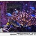 Marineland - Aquariums Tropicaux - 4947
