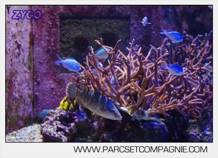 Marineland - Aquariums Tropicaux - 4947
