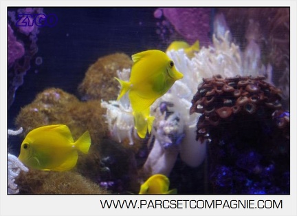 Marineland - Aquariums Tropicaux - 4952