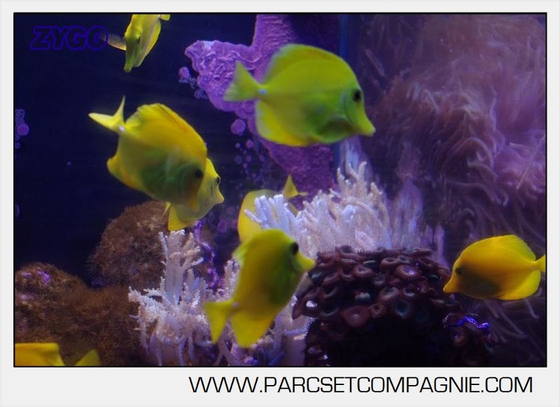 Marineland - Aquariums Tropicaux - 4953