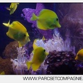 Marineland - Aquariums Tropicaux - 4953