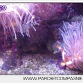 Marineland - Aquariums Tropicaux - 4956