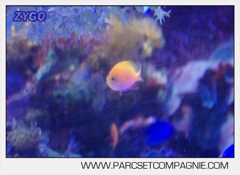 Marineland - Aquariums Tropicaux - 4958