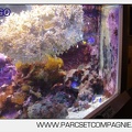 Marineland - Aquariums Tropicaux - 4959