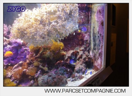Marineland - Aquariums Tropicaux - 4959