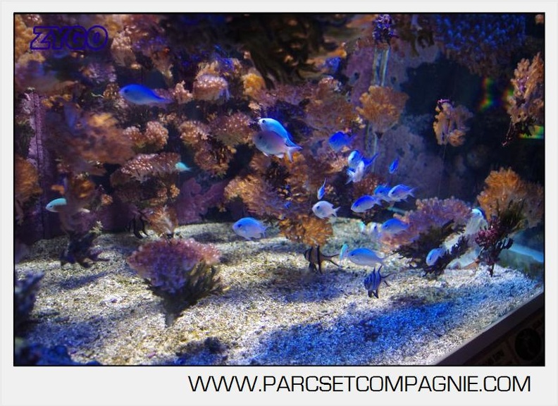 Marineland - Aquariums Tropicaux - 4961