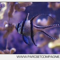 Marineland - Aquariums Tropicaux - 4973