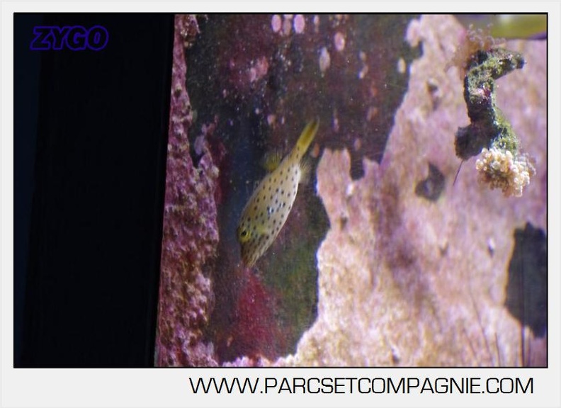 Marineland - Aquariums Tropicaux - 4975