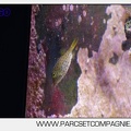 Marineland - Aquariums Tropicaux - 4975
