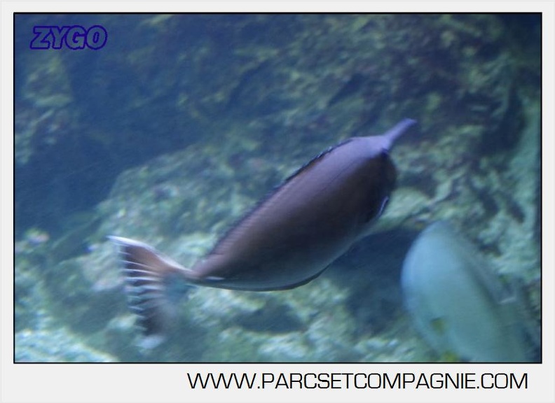 Marineland - Aquariums Tropicaux - 4977