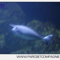 Marineland - Aquariums Tropicaux - 4978