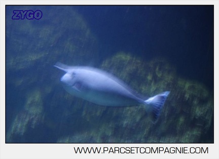 Marineland - Aquariums Tropicaux - 4978
