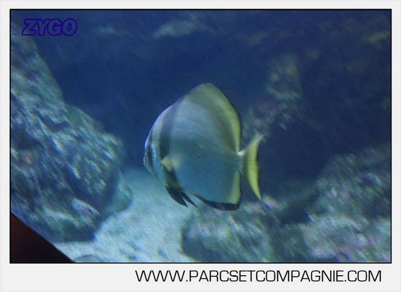 Marineland - Aquariums Tropicaux - 4979