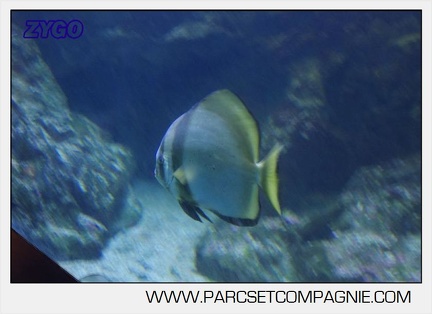 Marineland - Aquariums Tropicaux - 4979