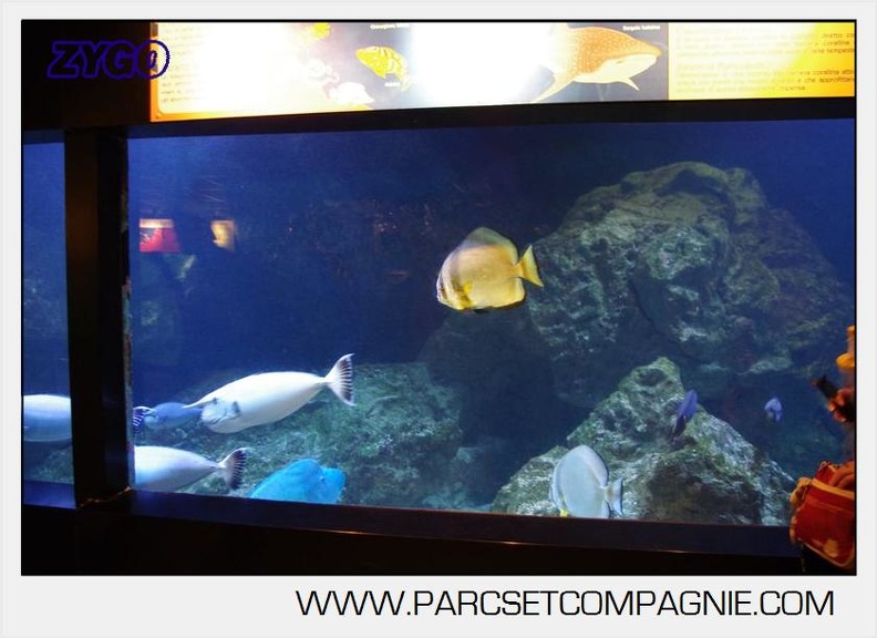 Marineland - Aquariums Tropicaux - 4981