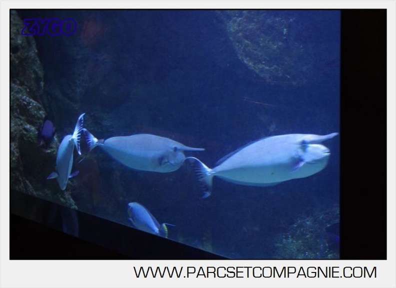 Marineland - Aquariums Tropicaux - 4982