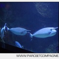 Marineland - Aquariums Tropicaux - 4982