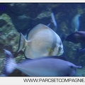 Marineland - Aquariums Tropicaux - 4983
