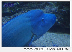 Marineland - Aquariums Tropicaux - 4984