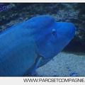 Marineland - Aquariums Tropicaux - 4984