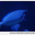 Marineland - Aquariums Tropicaux - 4985