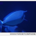 Marineland - Aquariums Tropicaux - 4986