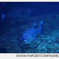 Marineland - Aquariums Tropicaux - 4987