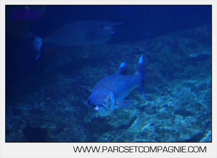 Marineland - Aquariums Tropicaux - 4987