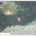 Marineland - Aquariums Tropicaux - 4988