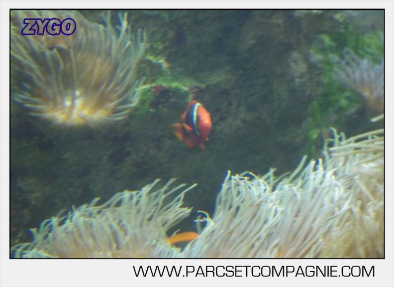 Marineland - Aquariums Tropicaux - 4989