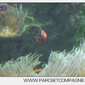 Marineland - Aquariums Tropicaux - 4989