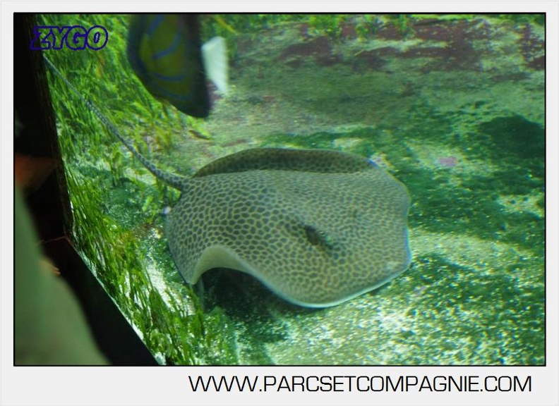 Marineland - Aquariums Tropicaux - 4991