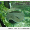Marineland - Aquariums Tropicaux - 4991