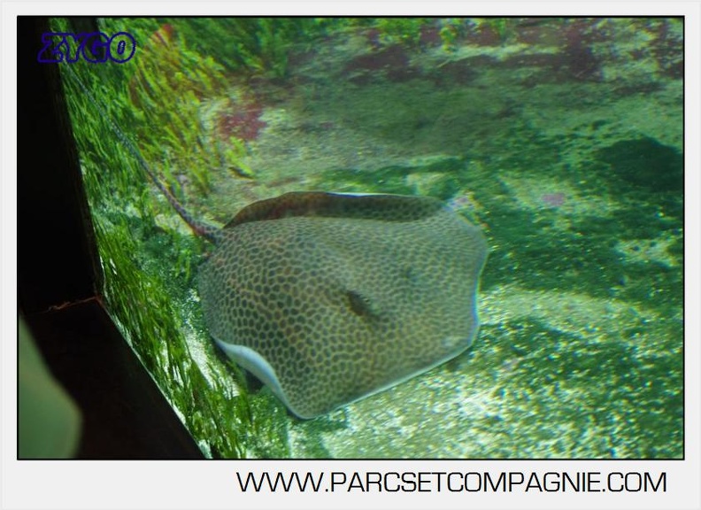 Marineland - Aquariums Tropicaux - 4992