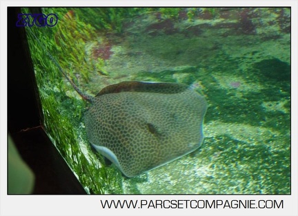 Marineland - Aquariums Tropicaux - 4992