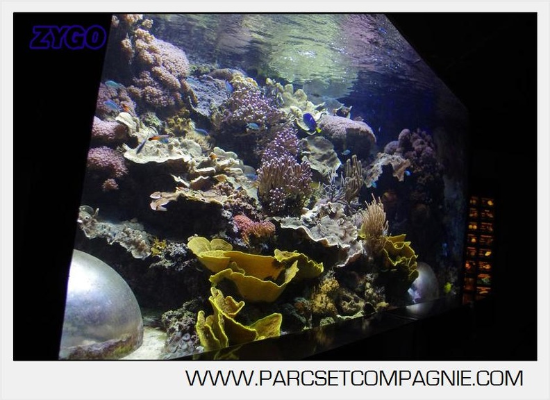 Marineland - Aquariums Tropicaux - 4995