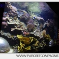 Marineland - Aquariums Tropicaux - 4995