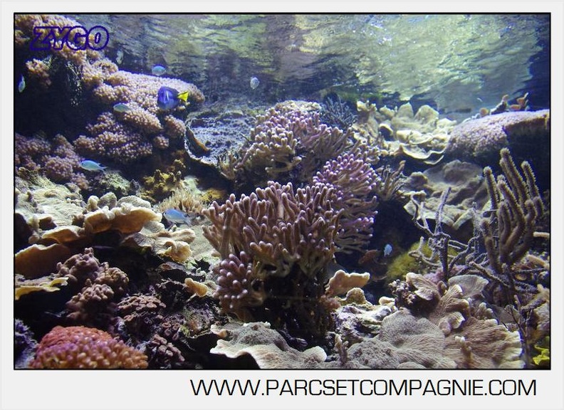 Marineland - Aquariums Tropicaux - 4996