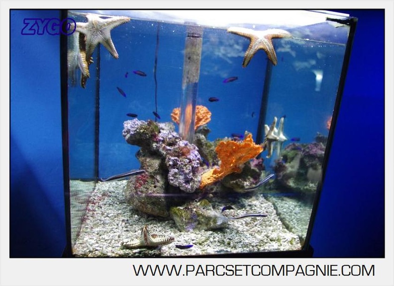 Marineland - Aquariums Tropicaux - 4998