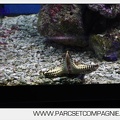 Marineland - Aquariums Tropicaux - 4999