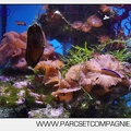 Marineland - Aquariums Tropicaux - 5000