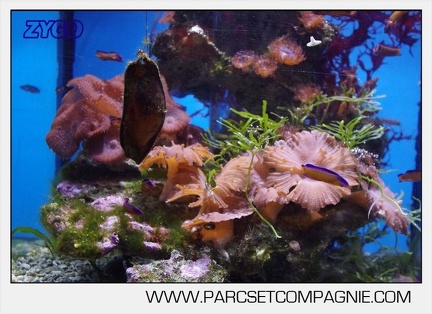 Marineland - Aquariums Tropicaux - 5000