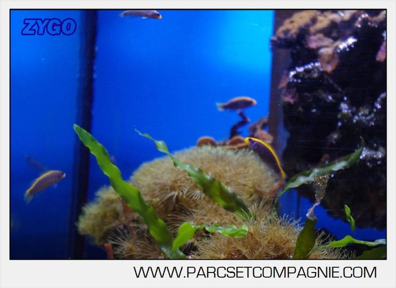 Marineland - Aquariums Tropicaux - 5001
