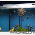 Marineland - Aquariums Tropicaux - 5005