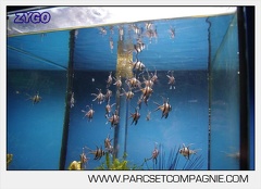 Marineland - Aquariums Tropicaux - 5006