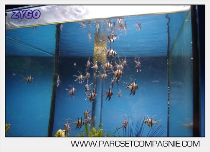 Marineland - Aquariums Tropicaux - 5006