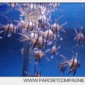 Marineland - Aquariums Tropicaux - 5007