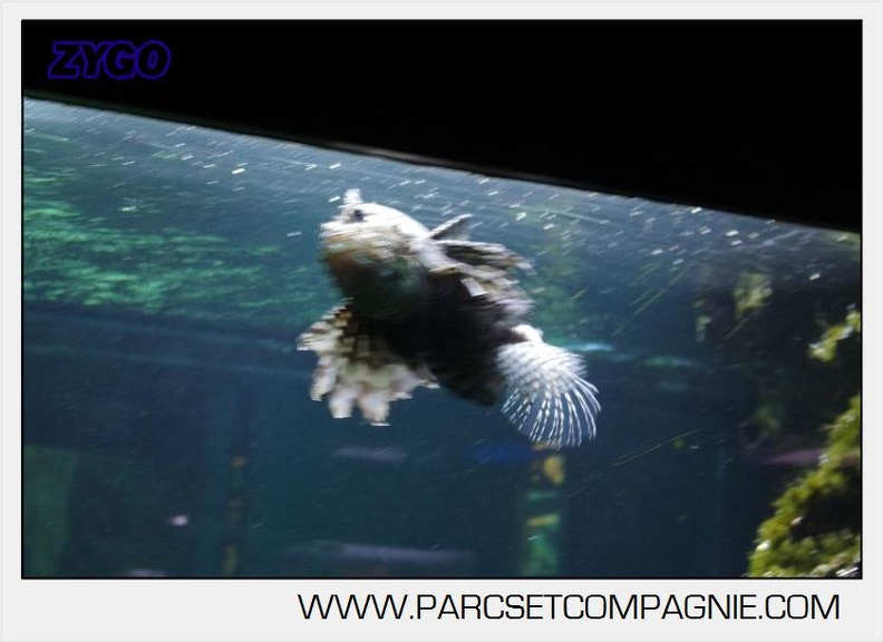 Marineland - Aquariums Tropicaux - 5008