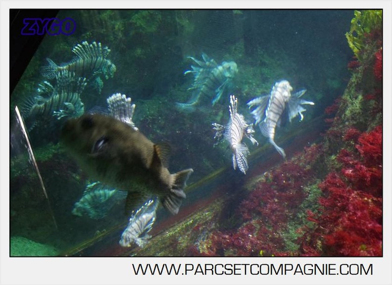 Marineland - Aquariums Tropicaux - 5010