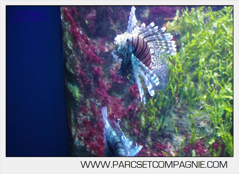 Marineland - Aquariums Tropicaux - 5011